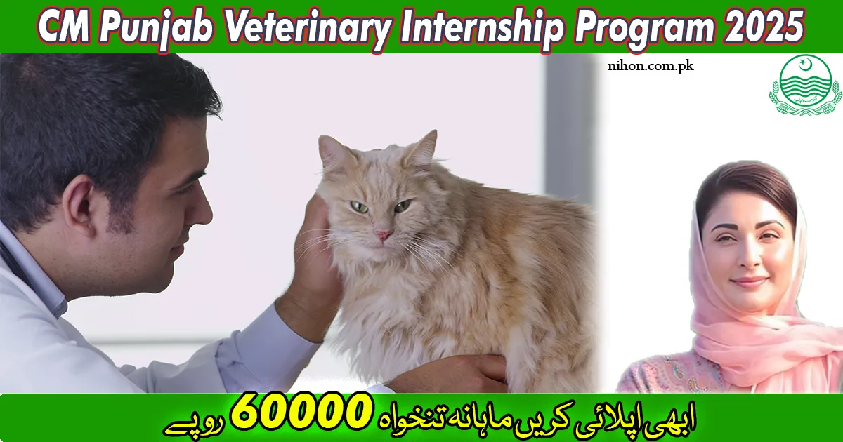 cm-punjab-veterinary-internship-program-2025